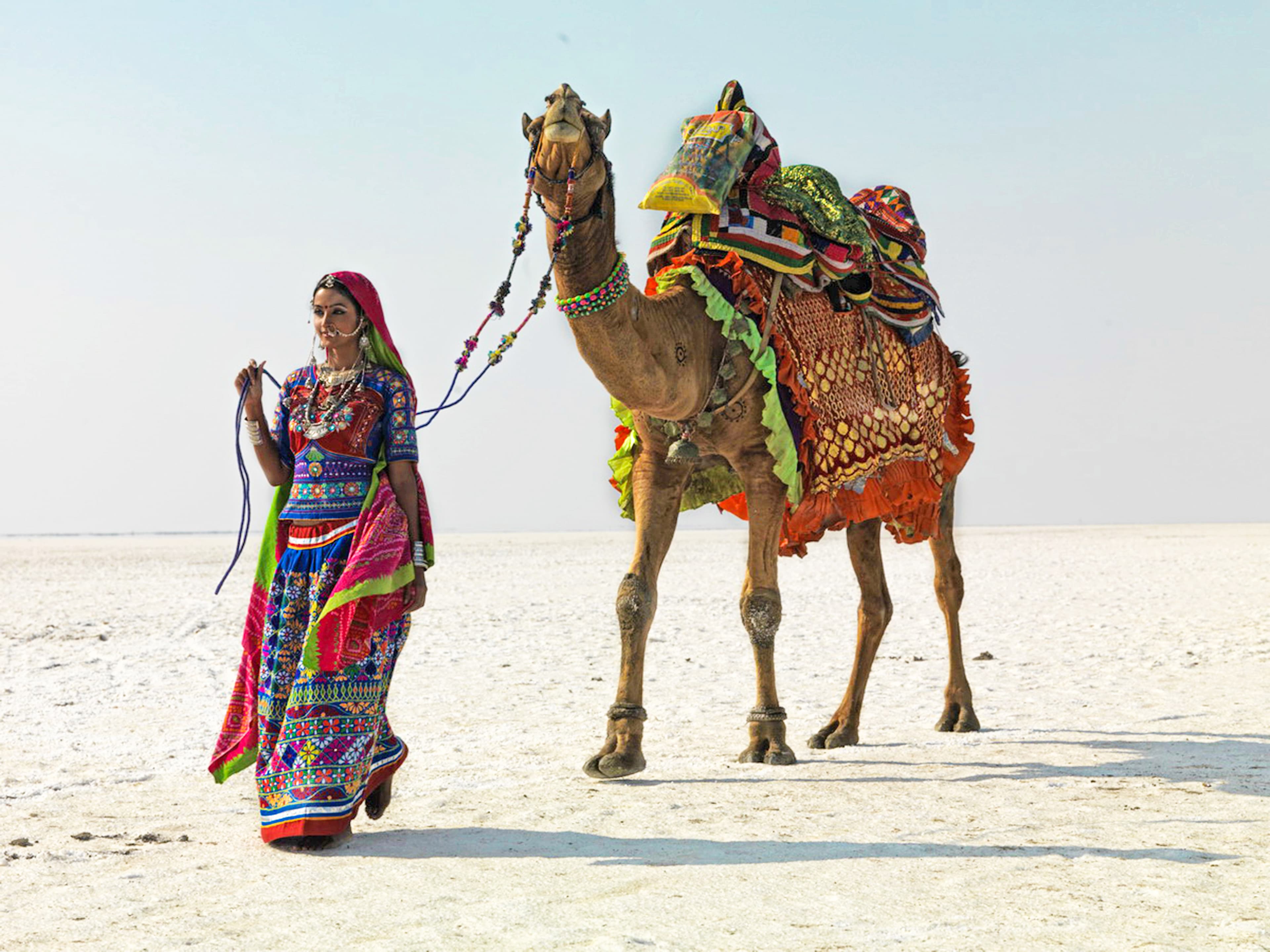 Rann Utsav