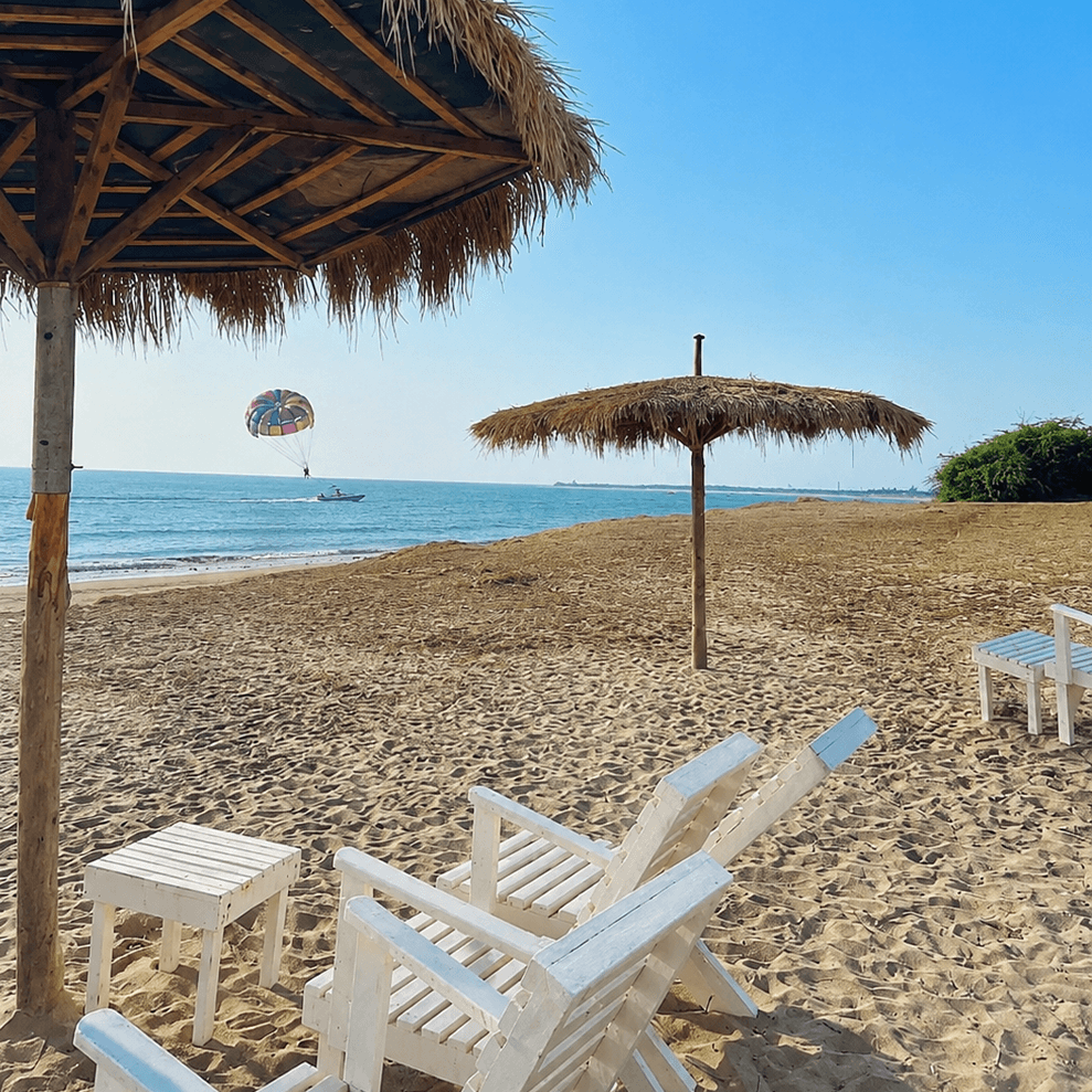 Beach with umbrellas and chairs at the resort
