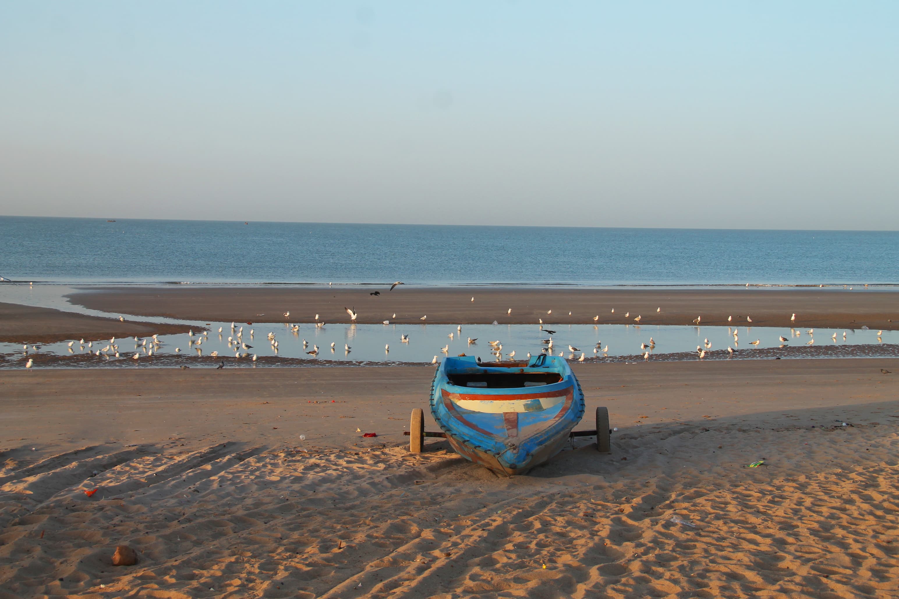 Mandvi coastline